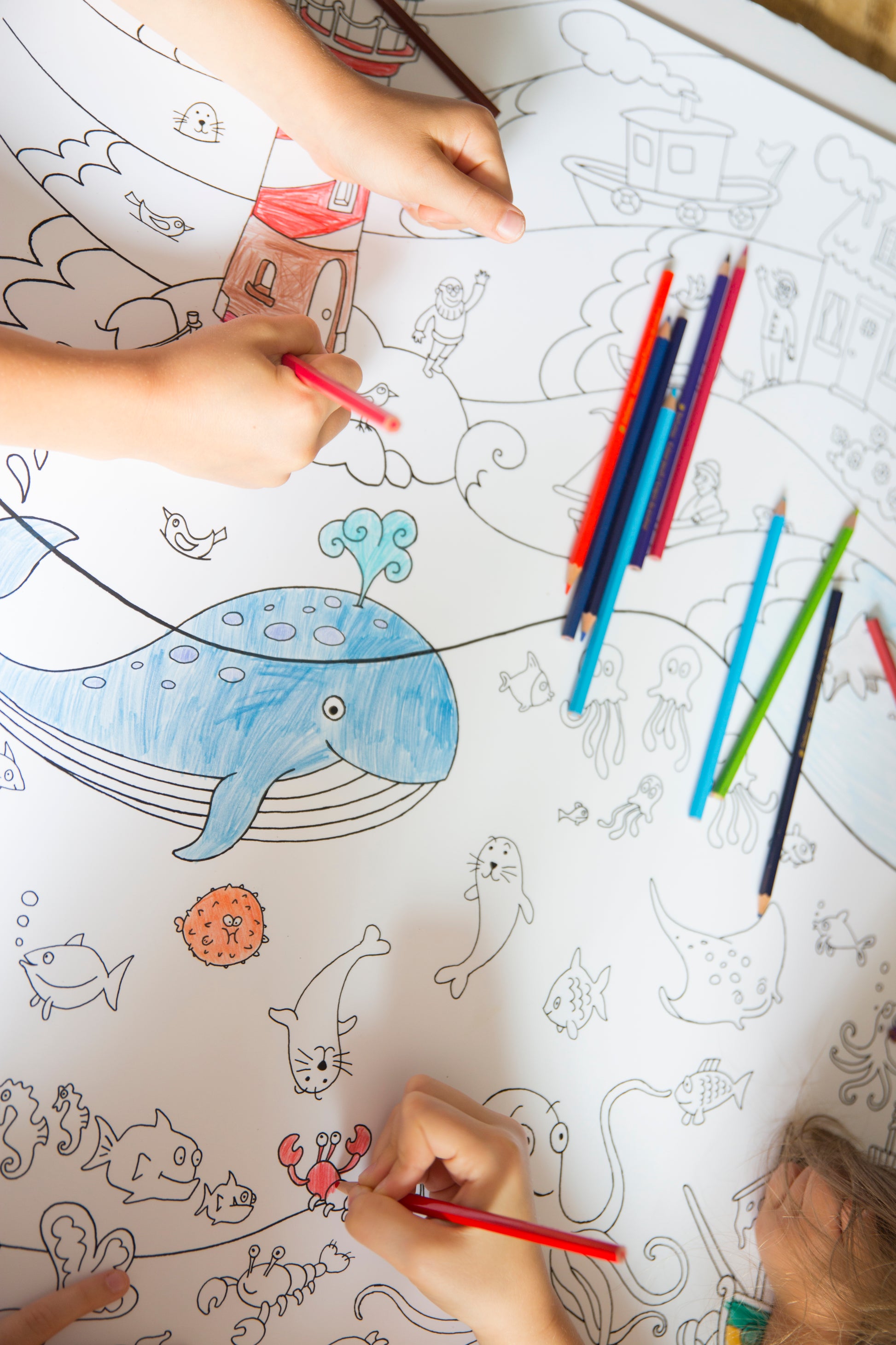 hand coloring a seek and find activity poster with ocean theme, whale fish and cute  sea animals